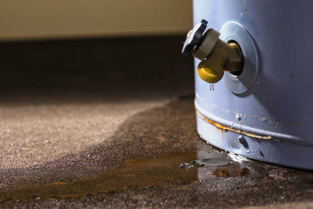 Trusted OR Water damage restoration Experts