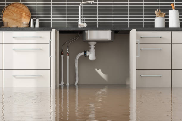 Best Commercial water damage restoration  in Veneta, OR