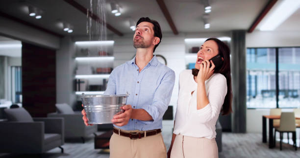 Best Ceiling water damage repair  in Veneta, OR