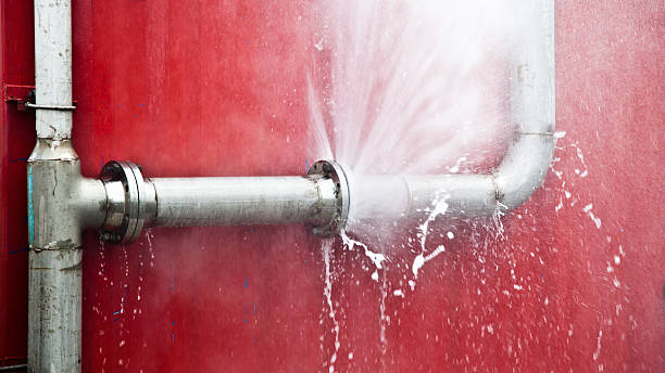 Best Water damage contractors near me  in Veneta, OR