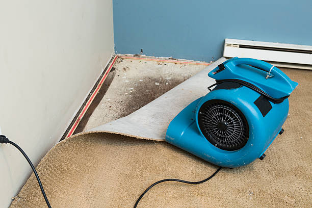 Best Sewage cleanup and water damage restoration  in Veneta, OR