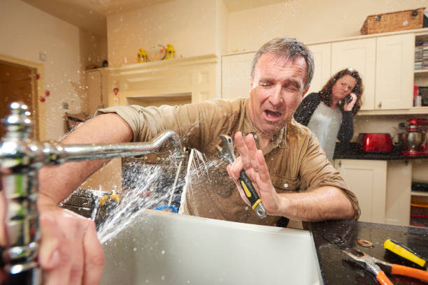Best Flood restoration services  in Veneta, OR